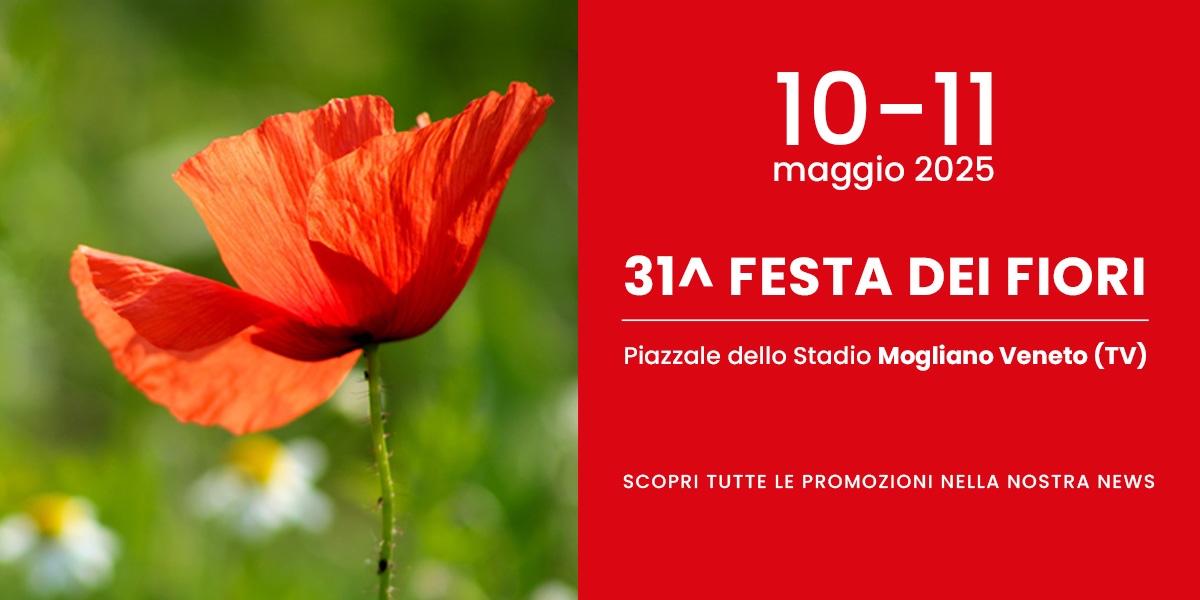 31^ Edizione Festa dei Fiori 
